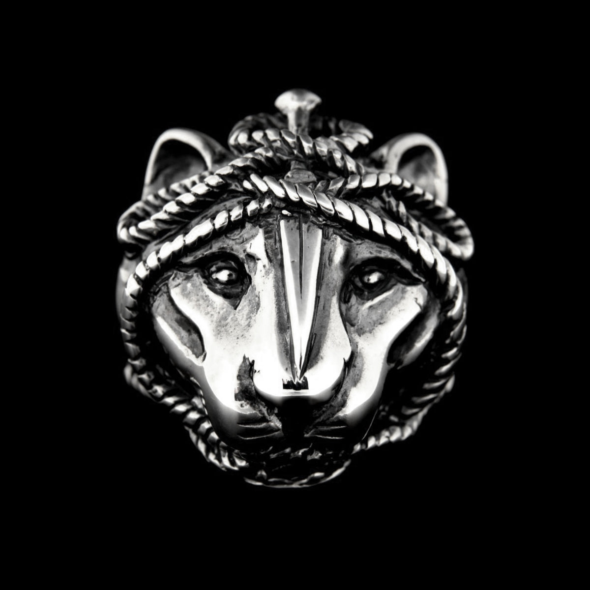 PANTHER