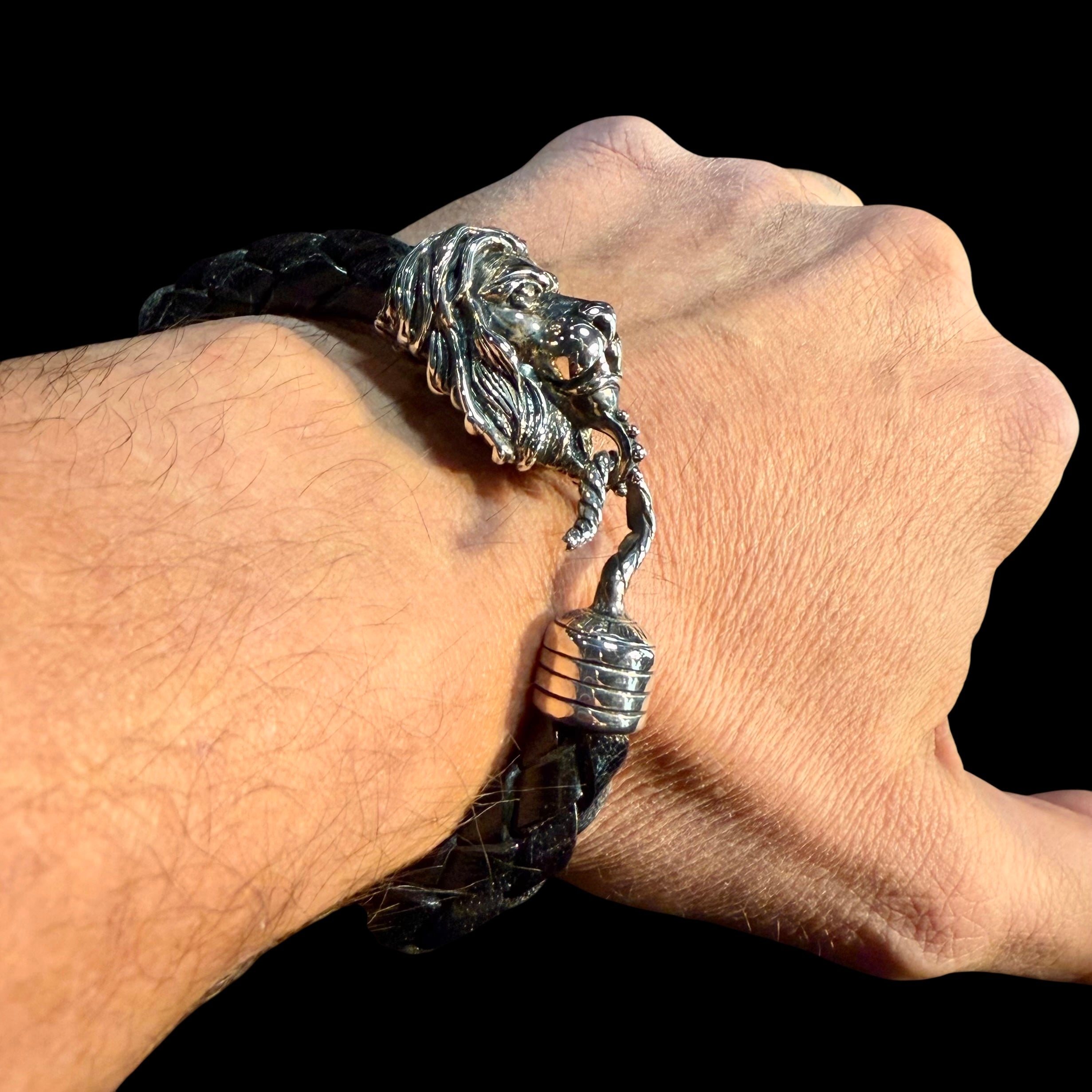 IL BRACCIALE DEL LEONE