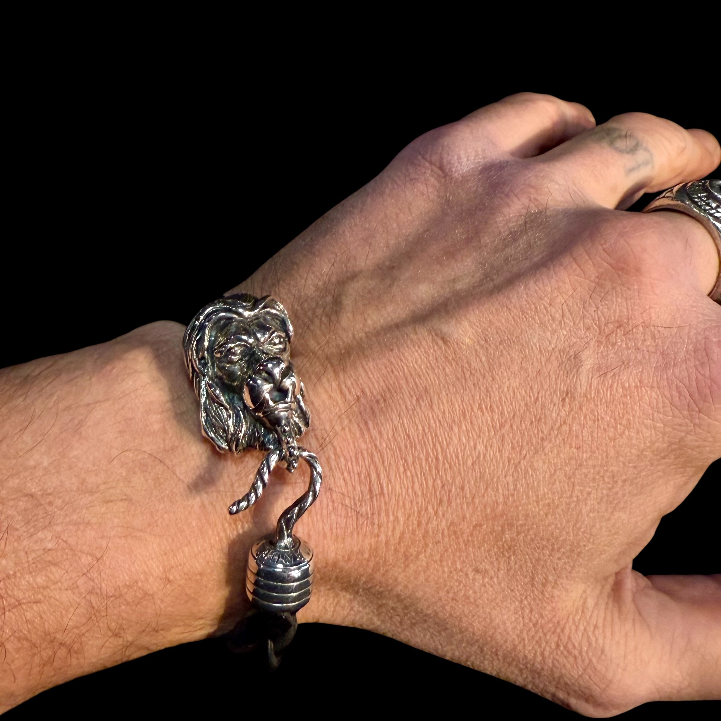 IL BRACCIALE DEL LEONE