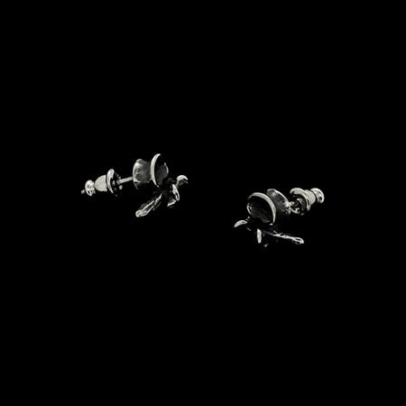VERTEBRA