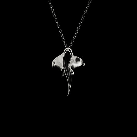 STINGRAY