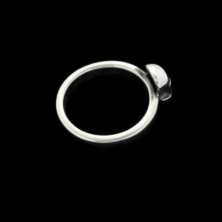 RING - SKULLYBAND