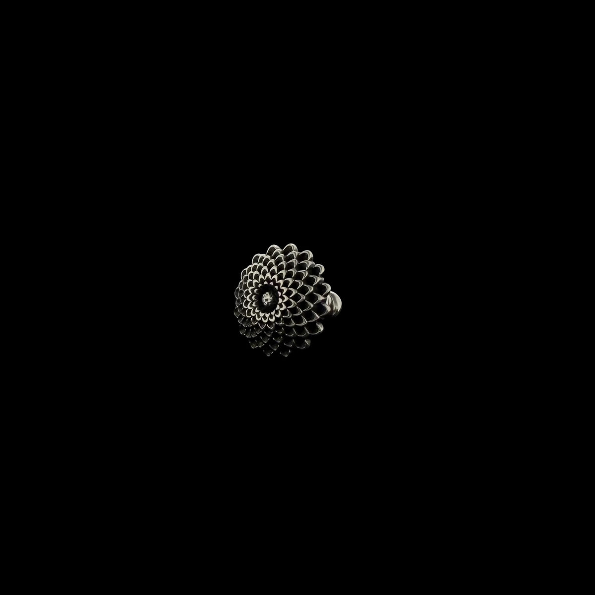 DALIA