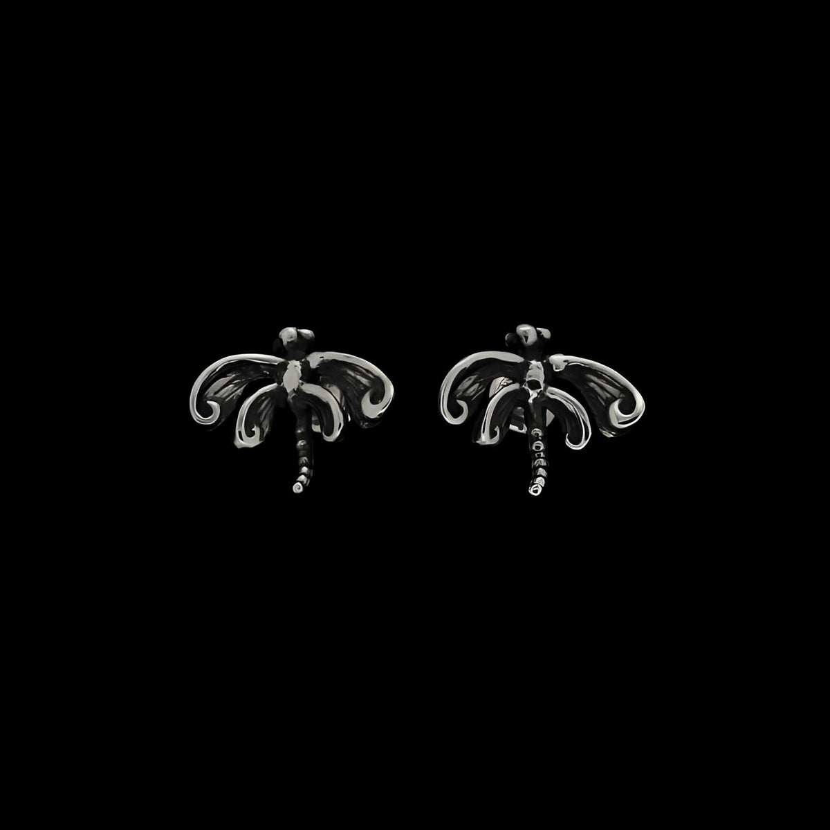 LA PICCOLA LIBELLULA