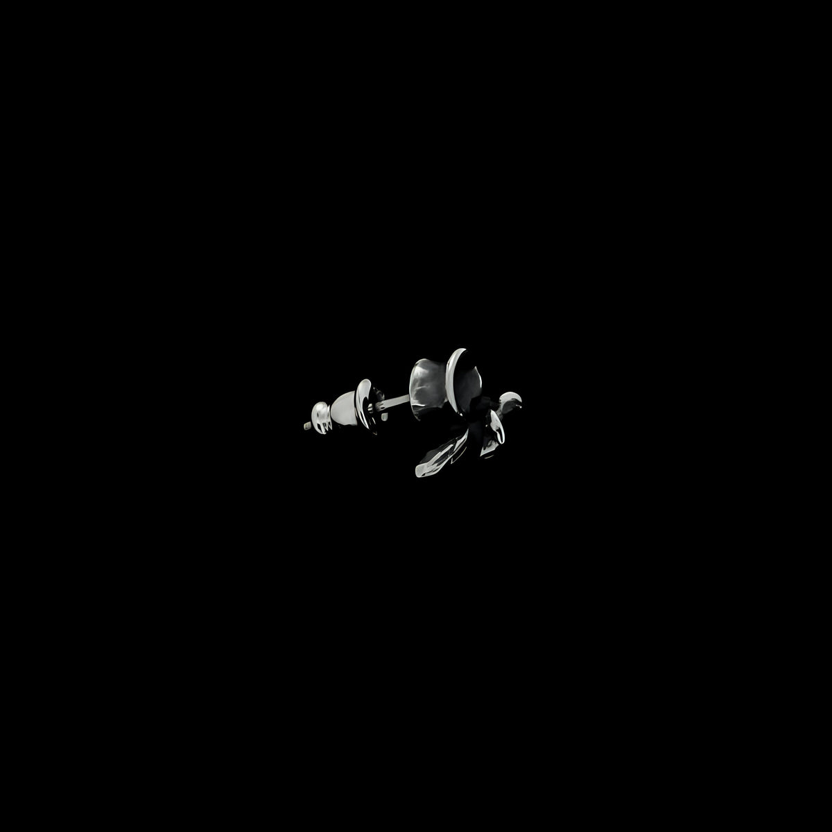 VERTEBRA