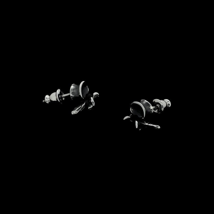 VERTEBRA