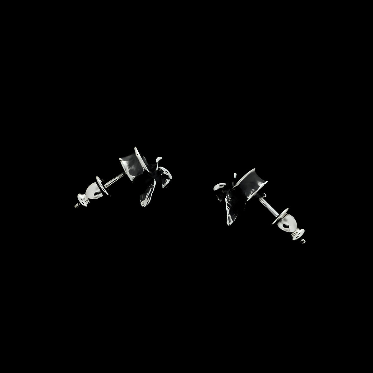 VERTEBRA