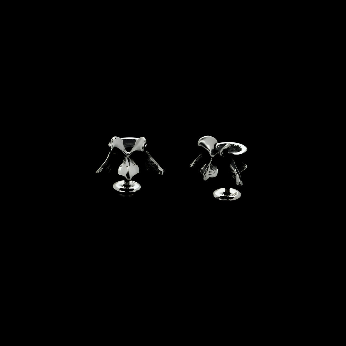 VERTEBRA