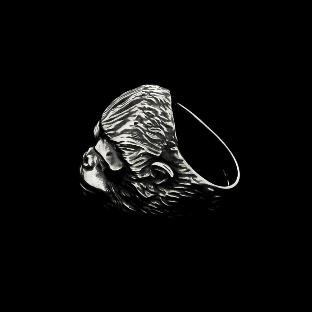 GORILLA SILVERBACK