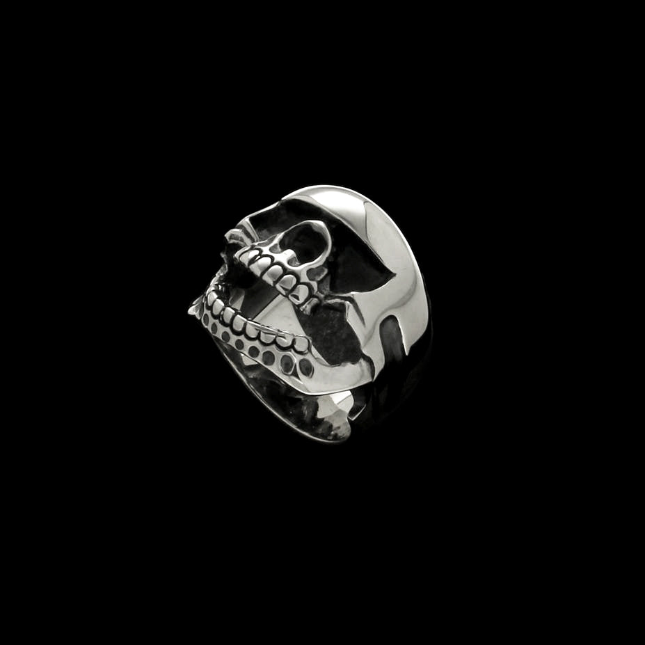 RAIDER