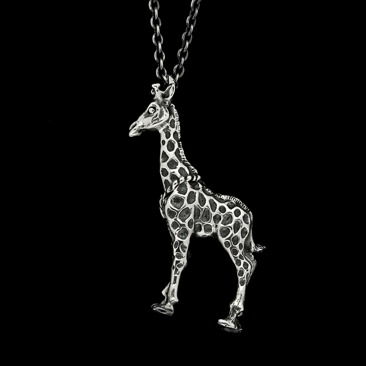 LA GIRAFFA