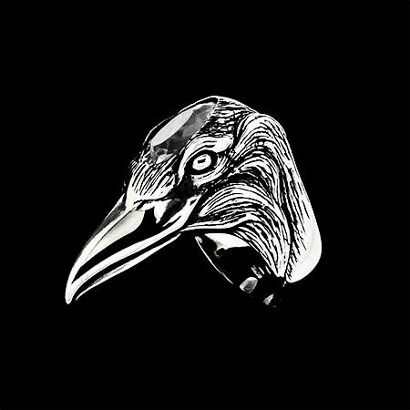 THE BRILLIANT CROW