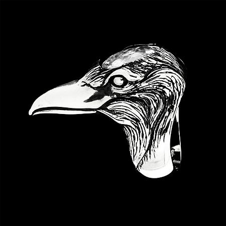 THE BRILLIANT CROW