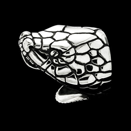 RING - THE SNAKE